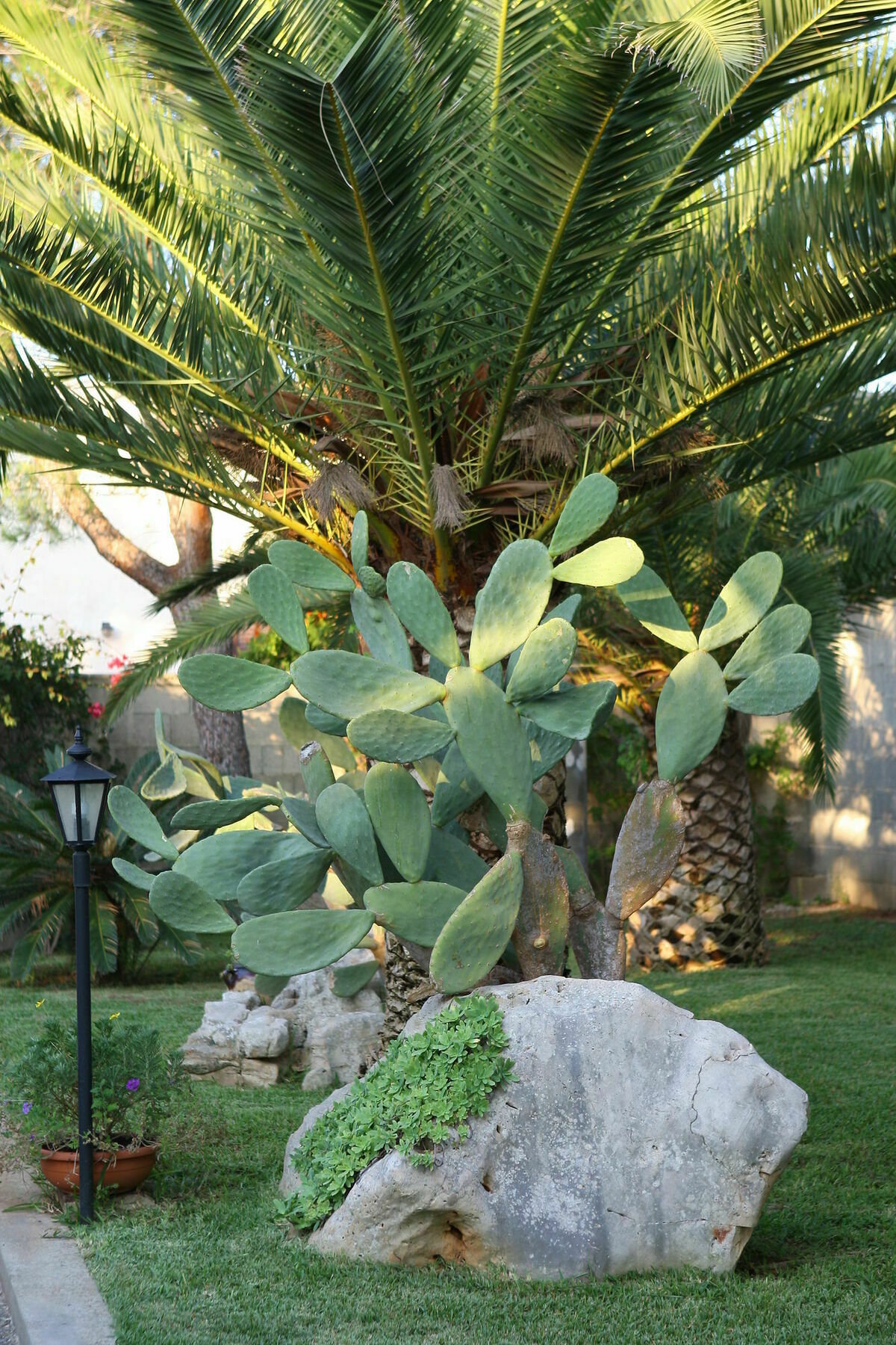 Lecce Guesthouse Buitenkant foto